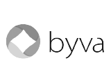 BYVA MINERALES