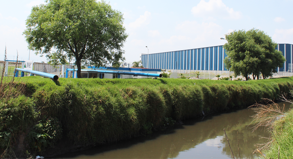 Eliminación de basura en el Río Verdiguel